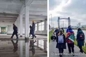 Laatste editie van kunstenfestival Border Buda in aantocht: “Uitnodiging om op andere manier naar onze omgeving te kijken”
