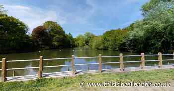 More events may be on horizon for Hampstead Heath as owners seek to raise cash