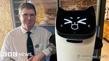 'Bella the robot waitress won't replace our staff'