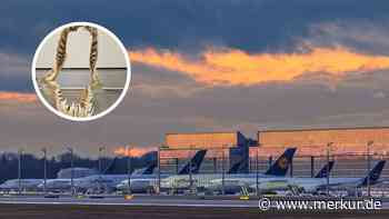 Am Flughafen München: Passagier aus Südafrika versucht, grotestes Tier-„Souvenir“ einzuschmuggeln