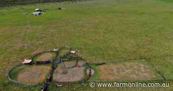 Handy north west property Randwick sold for above the odds at $445/acre