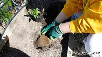I grew up on a farm. These are the tools I recommend for gardening