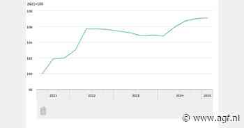 Economische groei Nederland vlakt af in eerste kwartaal 2025