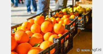 Italiaanse sinaasappelen met €141 het duurst van Europa