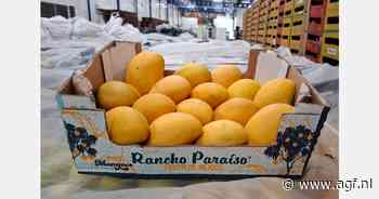 "Andere delen van de wereld verleidelijk, maar toegang tot Europese markt is moeite waard"