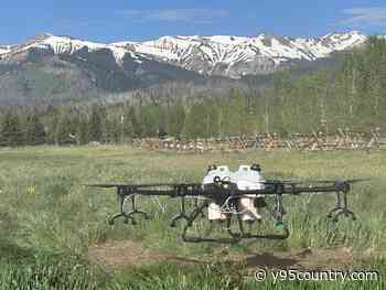 How Drones Are Revolutionizing Weed Control In Wyoming