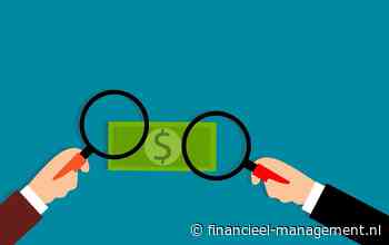 Wwft: financieel gedrocht of wapen tegen wantoestand?