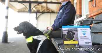 New cards reserve a seat for guide dogs on trains