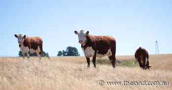 Virtual fencing moves farmers 'into the 21st century' after announcement