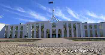 What producers want from the next federal government | NSW Farmers