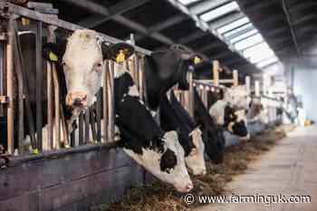 UK dairy tackles skills shortage with launch of talent forum