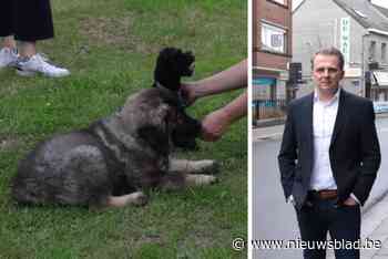 Unanimiteit over komst van huisdierenkaart: “Dit past perfect binnen het beleid van een diervriendelijke gemeente”