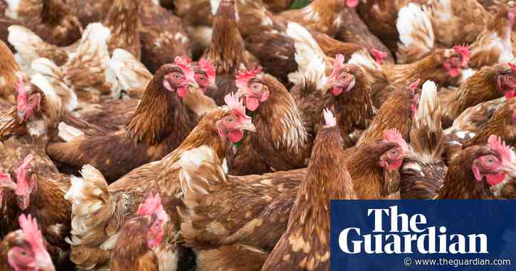 Chicken megafarm in Shropshire must not be built, clean river group tells court