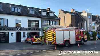 Brand breekt uit in traiteurzaak Kip & Co in Zoersel: veel zwarte rook
