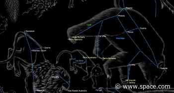 How to see a celestial 'gazelle' cross the night sky close to the Big Dipper this week