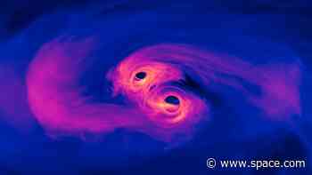 What can ripples in spacetime reveal about black holes? Quite a bit, it turns out