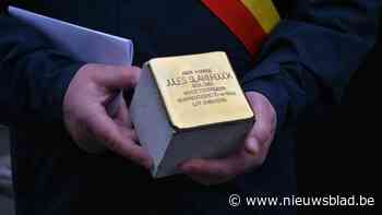 Stad plaatst nog eens vijftien struikelstenen: "De jongste gesneuvelde verzetsman was 17"