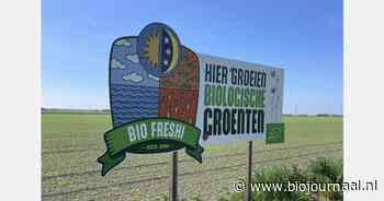 "Gunstig voorjaar biedt sterke start voor biologische erwten en spinazie"