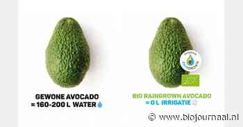 Organic Raingrown Avocado's besparen miljoenen liters drinkwater