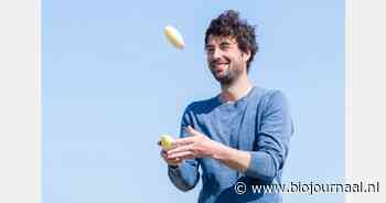 Aandacht voor zaadvaste witlof als alternatief voor hybride rassen