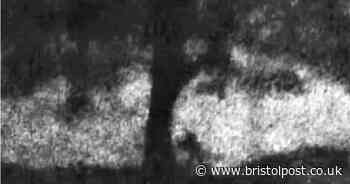 Video of Sycamore Gap tree being felled is shown in court