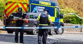 Suitcase killer 'decapitated' and froze body parts of loving couple after sex acts