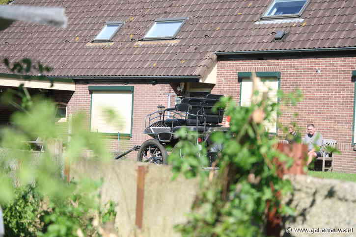 Paard overlijdt na wilde tocht door Loenen, schrok vermoedelijk van blaffende hond