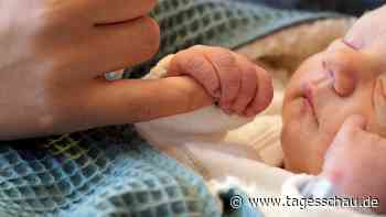 WhatsApp, Elternzeit, Passfotos: Was sich im Mai ändert