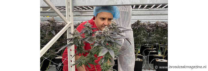 Holland Drugsland: Nederland groot in drugs