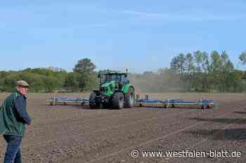 Kurz nach der Aussaat beginnt das Striegeln