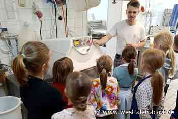 Nach den Osterferienspielen werden die Sommerferienspiele geplant