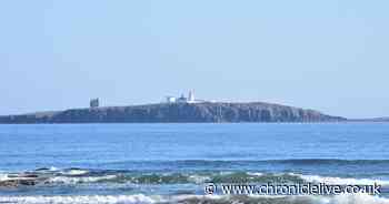 See the stunning video of an orca swimming off the Northumberland Coast
