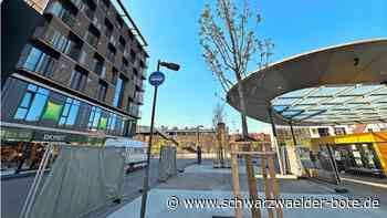 Frisch gepflanzt: Neue Bäume für Nagolds Busbahnhof