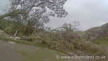 Sycamore Gap: Bodycam footage from first officer on scene of felled 150-year-old tree