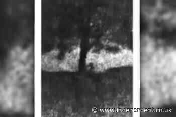 Sycamore Gap trial shown video footage of ‘tree being chopped down’