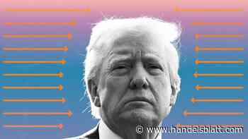 Geldanlage: Diese Branchen haben seit Trumps Amtsantritt am meisten gelitten