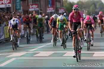 59ste Omloop van het Waasland doet het zonder toppers: “Uitkijken naar Timothy Dupont en Niels Vandeputte”