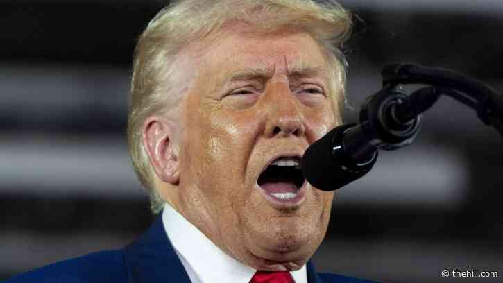 Trump insists this is ‘Biden’s Stock Market’ in wake of tariff turbulence