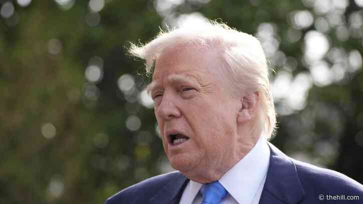 Most Republicans want Democrats to push back on Trump policies: Survey