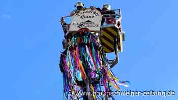 Gifhorn feiert in den Mai: Der erste Maibaum steht bereits