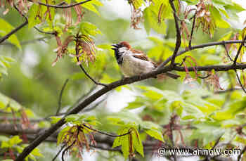 Morning Notes for April 30, 2025