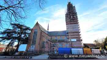 Kerkfabriek Onze-Lieve-Vrouw reageert op kritiek kappen ceders op kerkhof: “We hebben deze beslissing niet lichtzinnig genomen”