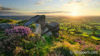 Subtle Techniques to Perfect Your Images with Radial Filters