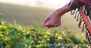 Tea and tariffs: Trade war places popular beverage in the crosshairs