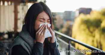 Met Office issues red pollen alert as pharmacists warns of 'most aggressive' allergen