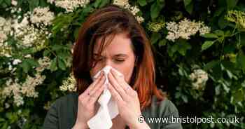 I'm an NHS doctor - here are the best over-the-counter hay fever pills to ease symptoms'