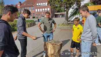 Dag vol activiteiten sluit feestweek voor honderd jaar Vito af