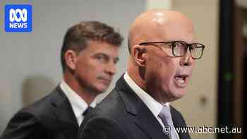 Coalition to release 'materially better, in double digits' budget costings