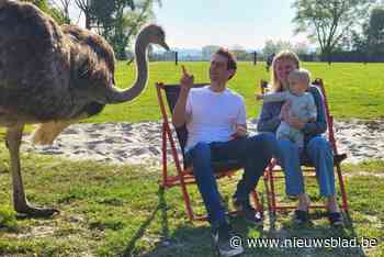 Bar Volare komt terug met nog meer beleving