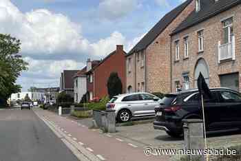 Gemeente houdt infomoment over herinrichting Zoellaan